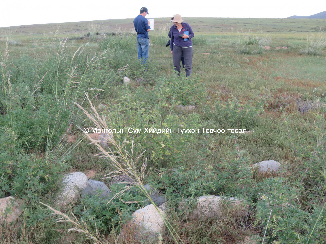 Surveyors on the site